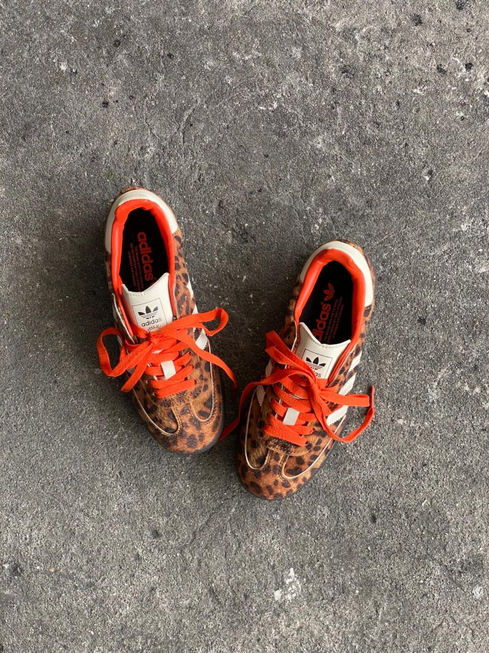 ADIDAS SAMBA LEOPARDO - Image 2