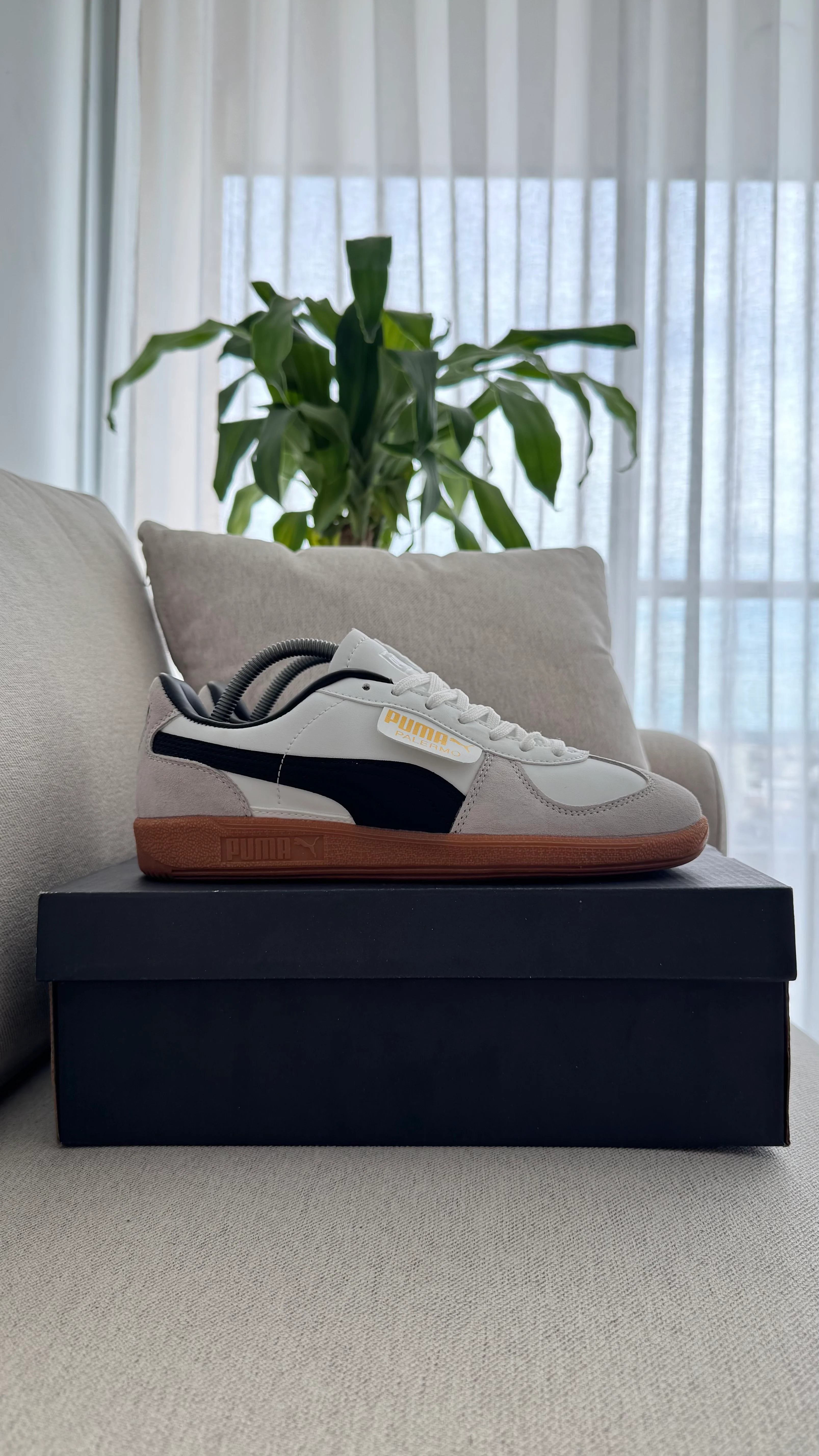 PUMA PALERMO CLÁSICO - Image 8