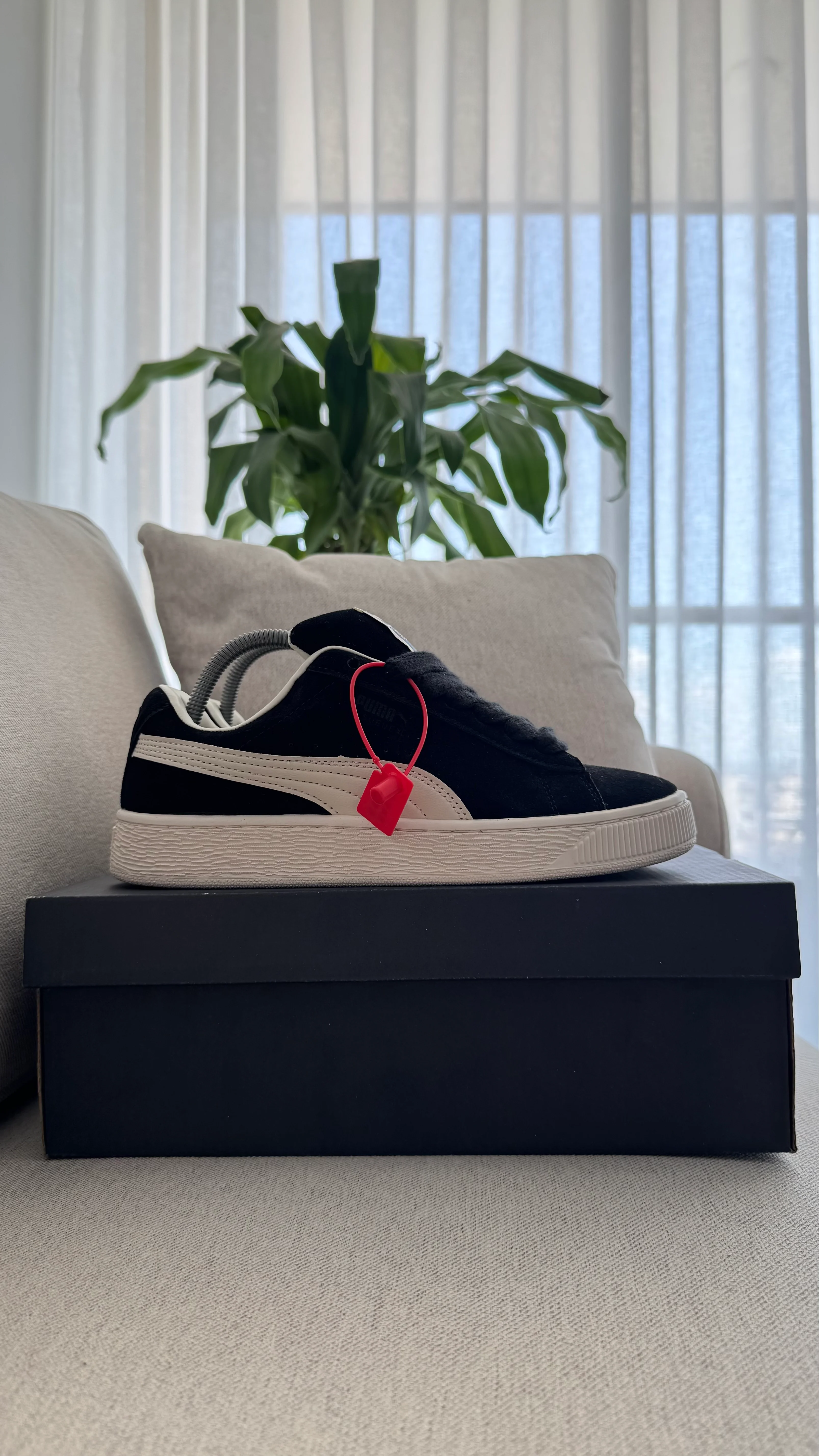 PUMA XL NEGRO BEIGE - Image 6