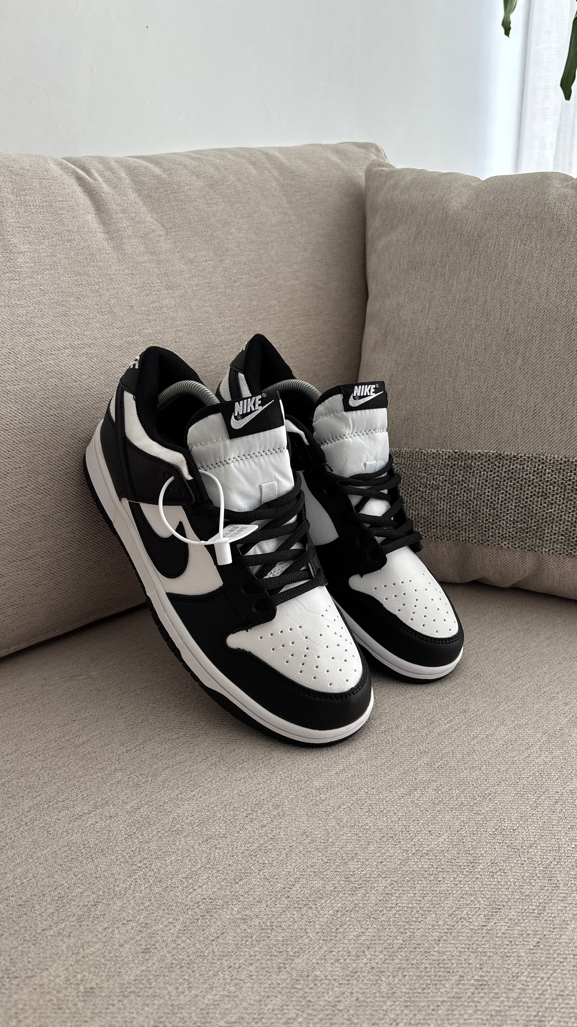 SB PANDA - Image 3